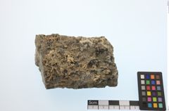 Foto von Gold Gediegen (NHMW-MIN-Aq713)